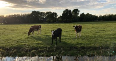 Geuzendagfietstocht Geuzendagfietstocht